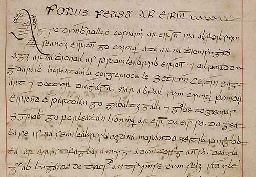 Detail from Irish history manuscript in Gaelic