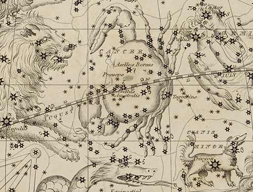 Illustrated constellation map with a crab, lion and dog