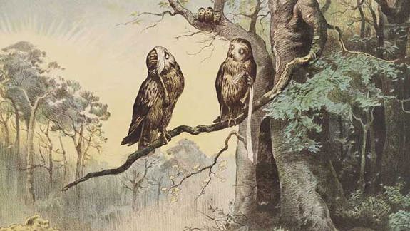Two owls sitting on a branch of a tree in the woods