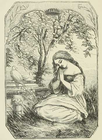 Drawing of Cinderella with pigeons