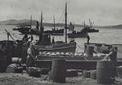 Women unloading fish