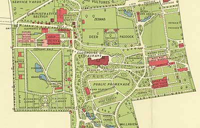 Ground plan of zoo showing detail of enclosures