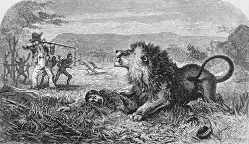 Engraving showing David Livingstone attacked by lion