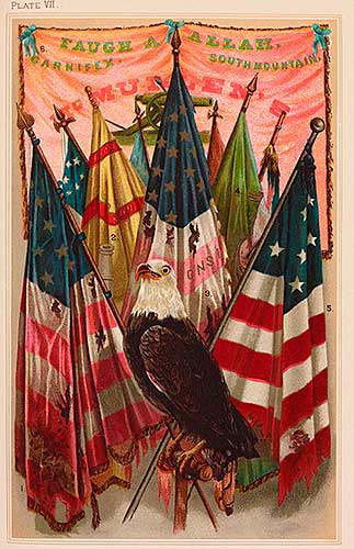 American Union war flags and eagle