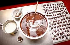 Ingredients for making chocolates