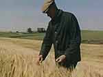 Film still showing man in field