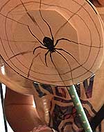 Thaumatrope with spider design