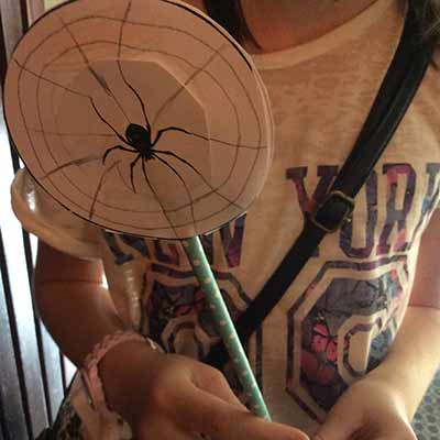 Close up of a spider thaumatrope made in a workshop at the SSA