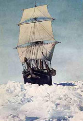 Illustration of the 'Endurance'