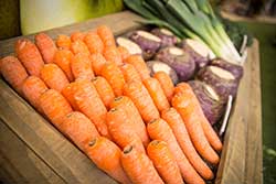 Carrots, turnips and leeks