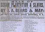 Detail from slave advertisement