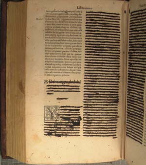 Censored book pages