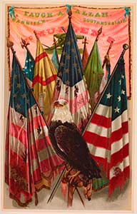 An American eagle with flags