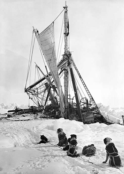 The 'Endurance' crushed by the ice, with dogs watching