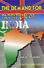 Indian partition book cover