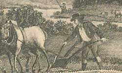 Ploughing scene