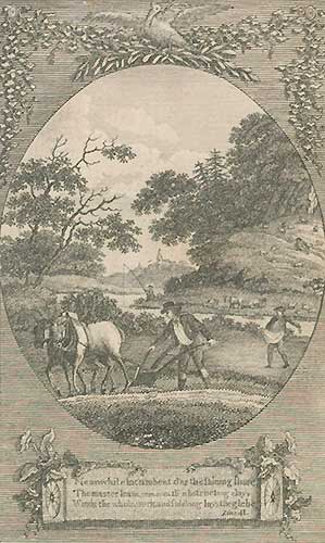 Ploughing scene