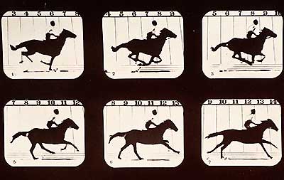 Still photos of galloping horse