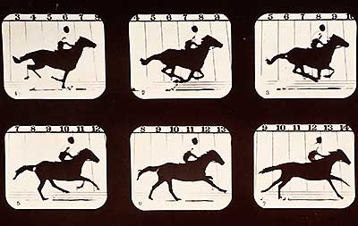 Still photos of galloping horse