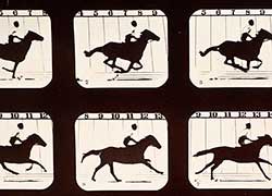 Galloping horse stills