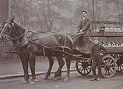 Horse and cart