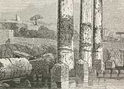Temple ruins