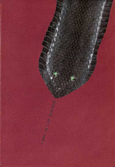 decroative book cover