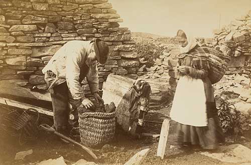 Harbour workers