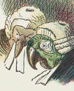 Tenniel's drawing of parrots in legal wigs