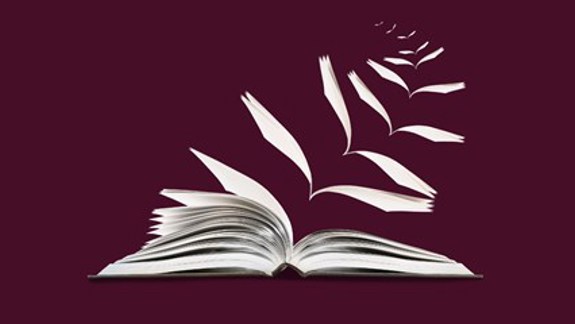An open book with its pages flying away.