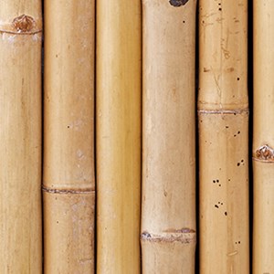 A photo of lots of bamboo lined up next to each other.