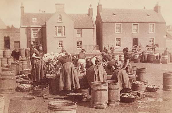 Women gutting fish