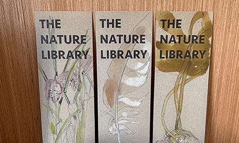 Three bookmarks with botanical drawings stand behind a small next and two pebbles with pages folding out between them