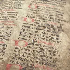 Manuscript detail