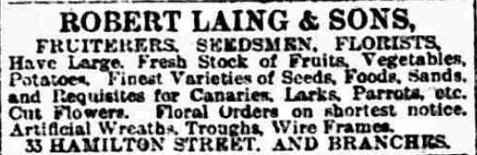Newspaper clipping that read "Robert Laing & Sons, Fuiterers, Seedsmen, Florists. Have large fresh stock of fruits, vegetables, potatoes, finest varieties of seeds, foods, sands, and requisites for canaries, larks, parrots, etc. Cut flowers. Floral orders on shortest notice. Artificial wreaths, troughs, wire frames. 22 Hamilton Street and branches.
