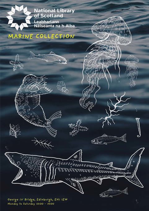Hand illustrations of marine life sit over a background of an image of water. 