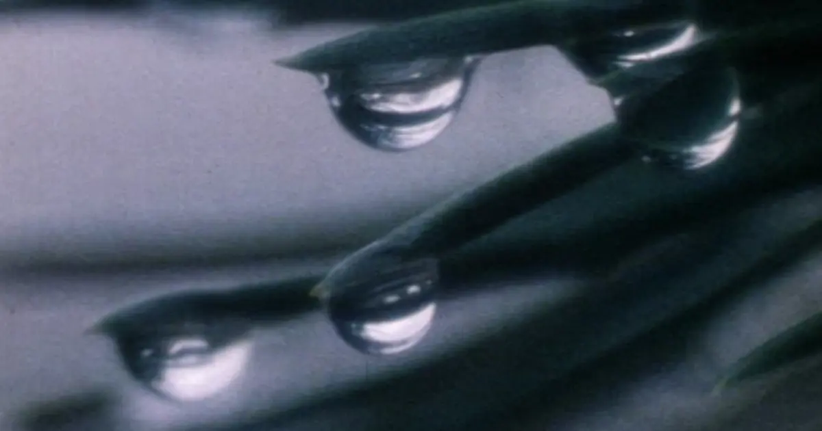 Still Raindrop Nine ways of looking at rain | National Library of Scotland