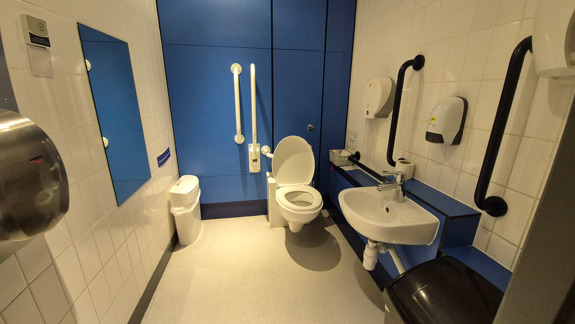 An accessible bathroom with handrails behind the toilet and on the wall to the right when you come in.