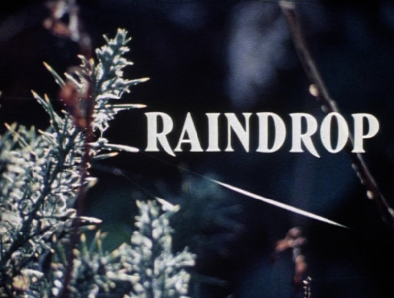 A film still showing branches with raindrops on them and a title that says 'Raindrop'.