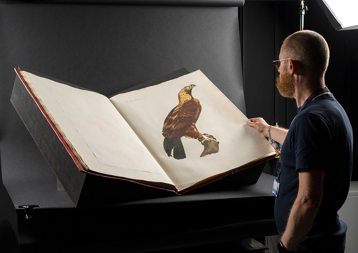 A person stands beside an open oversized book displaying a bird illustration across a large cream-coloured page.
