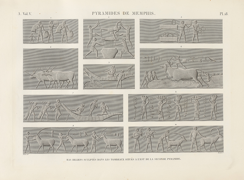 Engraving showing a series of scenes, including people, cattle, boats and hieroglyphic inscriptions arranged in panels.