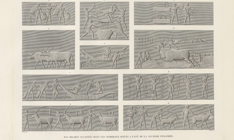 Engraving showing a series of scenes, including people, cattle, boats and hieroglyphic inscriptions arranged in panels.
