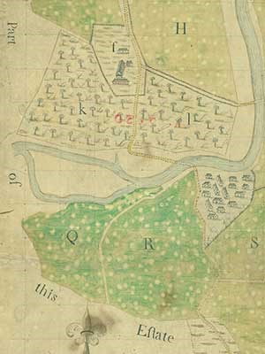 Plantation map detail
