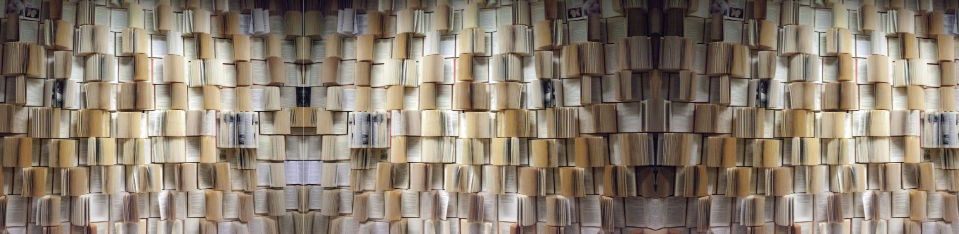 A large wall full of books all facing pages out.