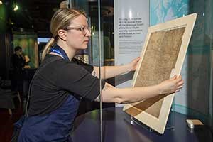 Person installing a manuscript in a display case