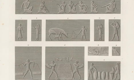 Engraving showing multiple carved panels with human figures, animals, tools and hieroglyphic inscriptions arranged in a grid. 